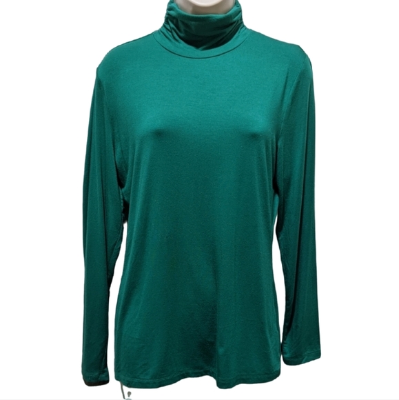 Women's Style & Co Green Long Sleeve Turtleneck Shirt - Picture 1 of 5